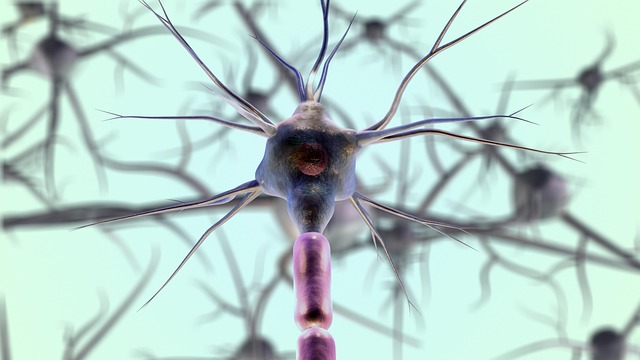Rotten Egg" Gas in the Brain May Hold a Clue to Fighting Alzheimer's