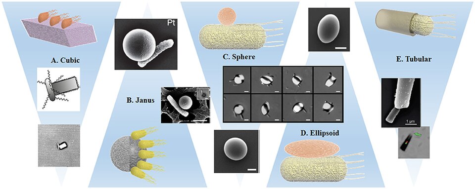 Light-Powered Nanorobots Can Now Hunt and Capture Bacteria Like Microscopic Cleaners