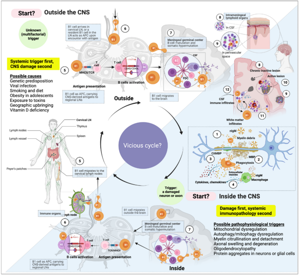 Brain's Cleaning System Can Be Supercharged to Fight Alzheimer's Proteins