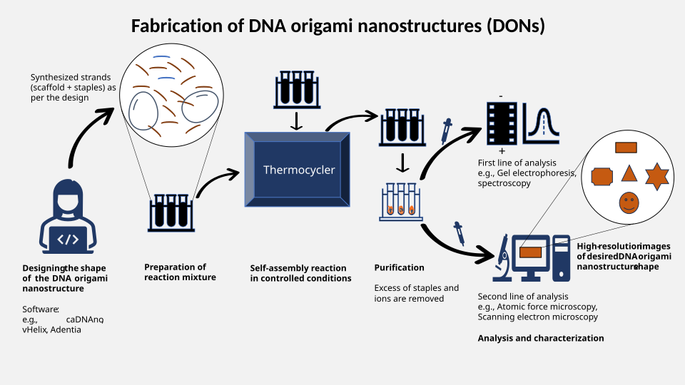 DNA Robots Edge Closer to Delivering Drugs and Hunting Viruses Inside the Human Body