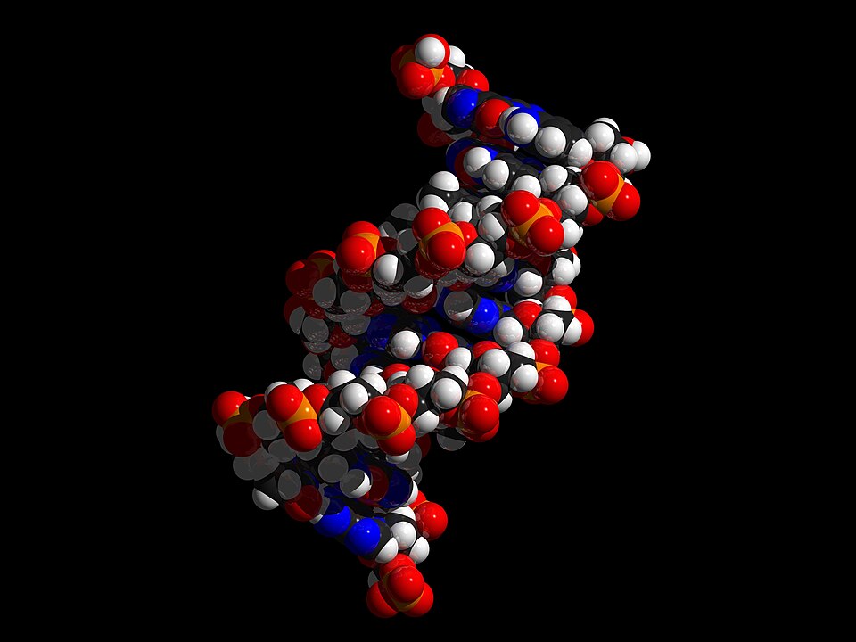 DNA "Combination Lock" Offers Cybersecurity-Style Protection for Engineered Cells