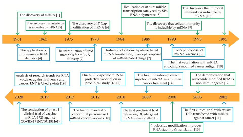 Timeline of some key discoveries and advances in the development of mRNA-based drug technology. Green boxes represent discoveries and advances in mRNA mechanisms; blue boxes represent discoveries and advances in mRNA-based drug applications. Abbreviations: mRNA, messenger RNA; 5′ cap, five-prime cap