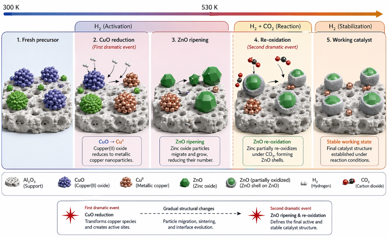 Scientific infographic showing how a copper-zinc-alumina catalyst changes during activation and reaction, moving from a fresh precursor through copper oxide reduction, zinc oxide ripening, re-oxidation under hydrogen and carbon dioxide, and into a stable working catalyst.
