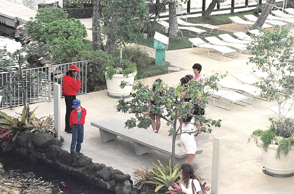 Michael Jackson talking with fans around the pool of the Kahala Hilton Hotel, early February 1988.  The small boy dressed like Michael is Jimmy Safechuck, who had appeared in a Pepsi commercial with Michael and was traveling with him.  
Scanned from the original 35MM film negative.

NOTE:  Permissio