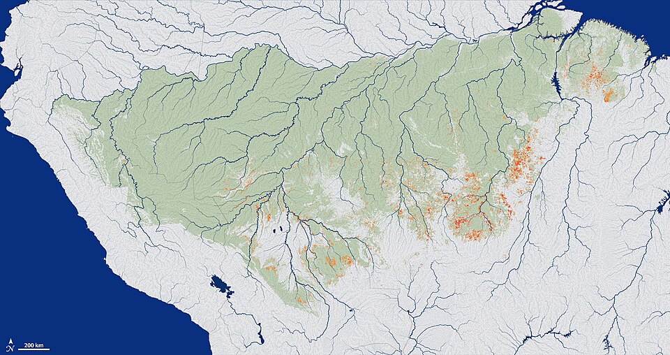 Researchers for the first time mapped the extent and frequency of understory fires across a study area (green) spanning 1.2 million square miles (3 million square kilometers) in the southern Amazon forest. Fires were widespread across the forest frontier during the study period from 1999-2010. Recur