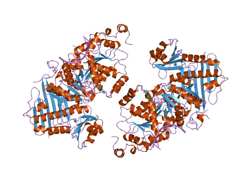Cartoon representation of the molecular structure of protein registered with 2hyi code.