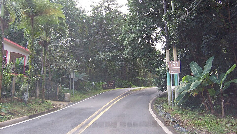 Puerto Rico Highway 191 at the southbound entrance to  El Yunque National Forest, northeastern Puerto Rico.
A USDA Forest Service Forest Highway, and forest road scenic drive, through the only tropical U.S. National Forest.