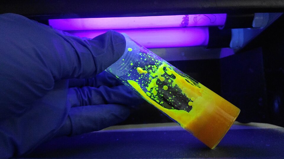Сolloidal solution of semiconductor quantum dots in cuvettes under UV Irradiation
