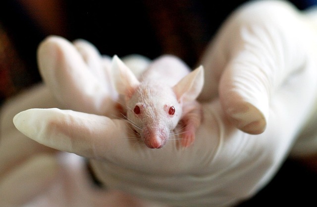 The "Rotten Egg" Gas That Could Help Fight Alzheimer's Disease