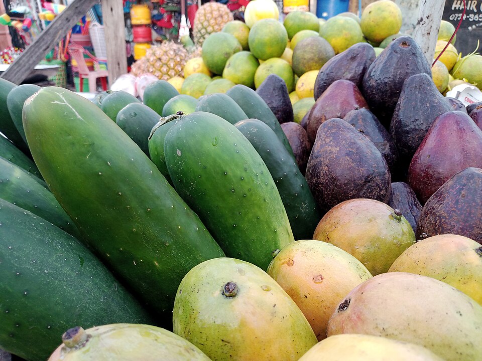 This is an image with the theme "Health and Wellness in Africa" from: