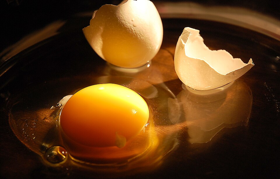 Raw chicken egg with broken shell.
