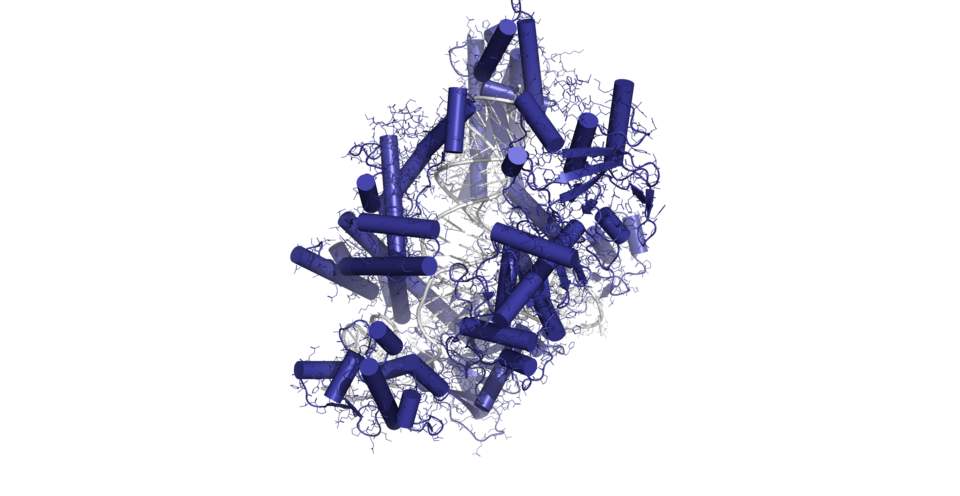 Cas12a in complex with crRNA and target DNA. Three-dimensional structure of Cas12(AsCpf1) ID 5B43 from the Protein Data Bank (PDB) database. Structural image was prepared with the PyMOL Molecular Graphics System, Version 2.0 Schrödinger, LLC and Adobe Illustrator.
