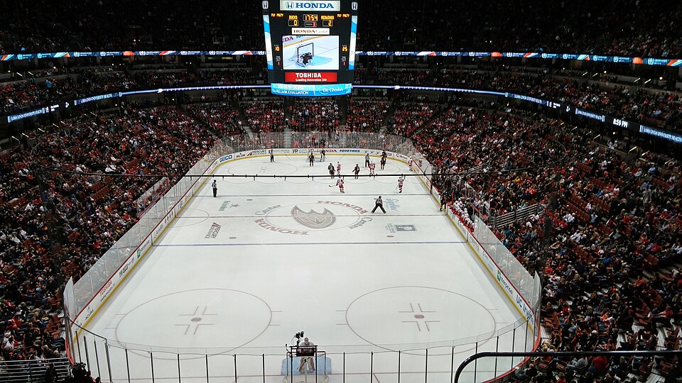 Anaheim Ducks vs. Detroit Red Wings February 23 2015 photo D Ramey Logan