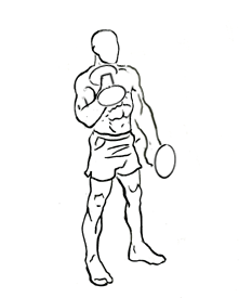 an exercise of biceps and forearms