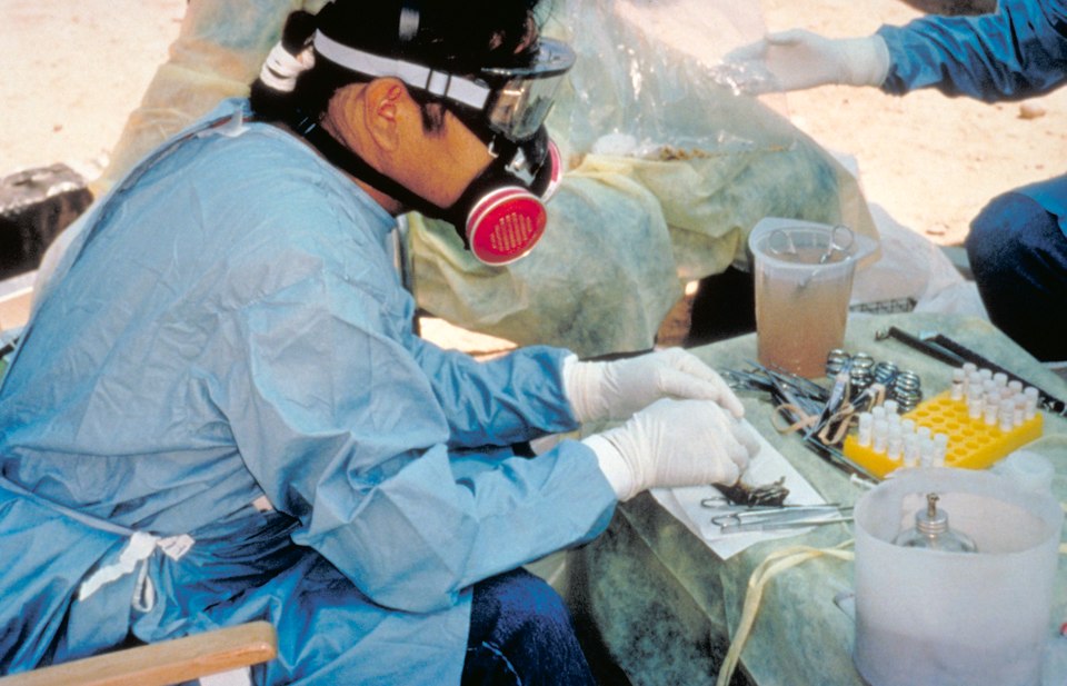 CDC scientist collecting specimens from trapped rodents.