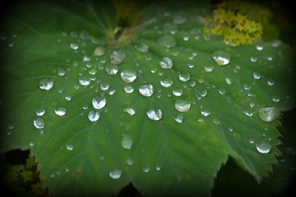 Counting the raindrops