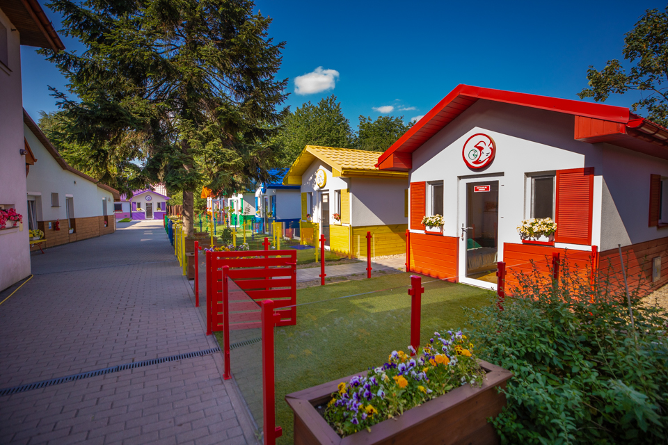 The ADA Foundation's project is innovative. He is the first in the world to implement the concept of a Dog Village, created by Dog Houses. We were the first in the world to develop the concept of Adoption Centers by introducing Dog Houses. Currently, there are 30 of them. Each house looks like a roo