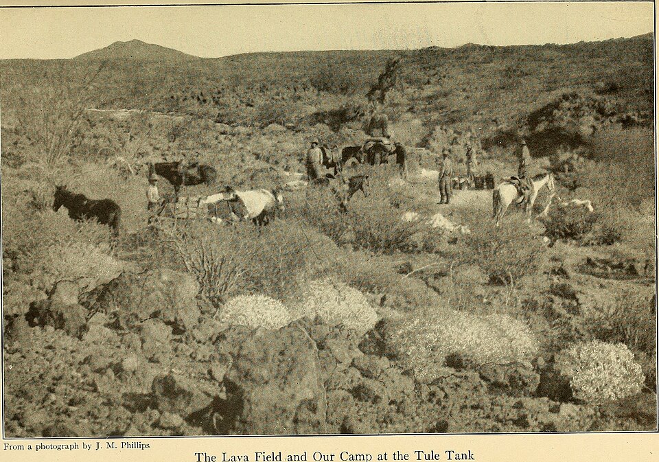 Identifier: campfiresondeser00horn (find matches)
Title: Campfires on desert and lava
Year: 1908 (1900s)
Authors:  Hornaday, William T. (William Temple), 1854-1937
Subjects: 
Publisher:  New York, C. Scribner's sons
Contributing Library:  The Library of Congress
Digitizing Sponsor:  The Library of C
