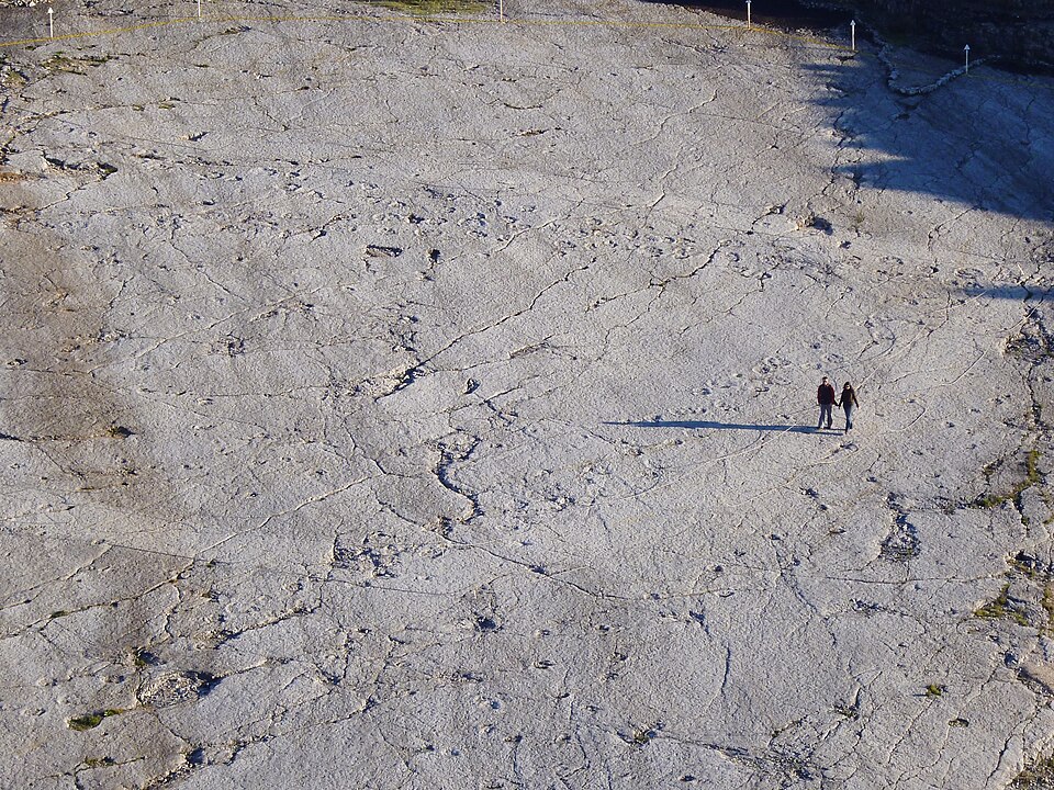 Multiple dinosaur trackways are visible in this photo taken at Pegadas de Dinossáurios da Serra de Aire Natural Monument, Portugal. At least three long sauropod trackways are visible: two sub-parallel trackways running from the center-right to the top left of the photo, and a third one is visible as