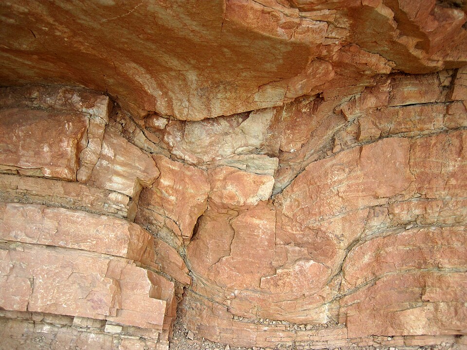 Sauropod dinosaur footprint bulge in sandstones in the Jurassic of Colorado, USA.
Dinosaur Ridge is a particularly dinosaur fossil-rich section of the Dakota Hogback in north-central Colorado.  It is a north-south trending ridge of eastward-dipping Mesozoic sedimentary rocks.  The western side of Di