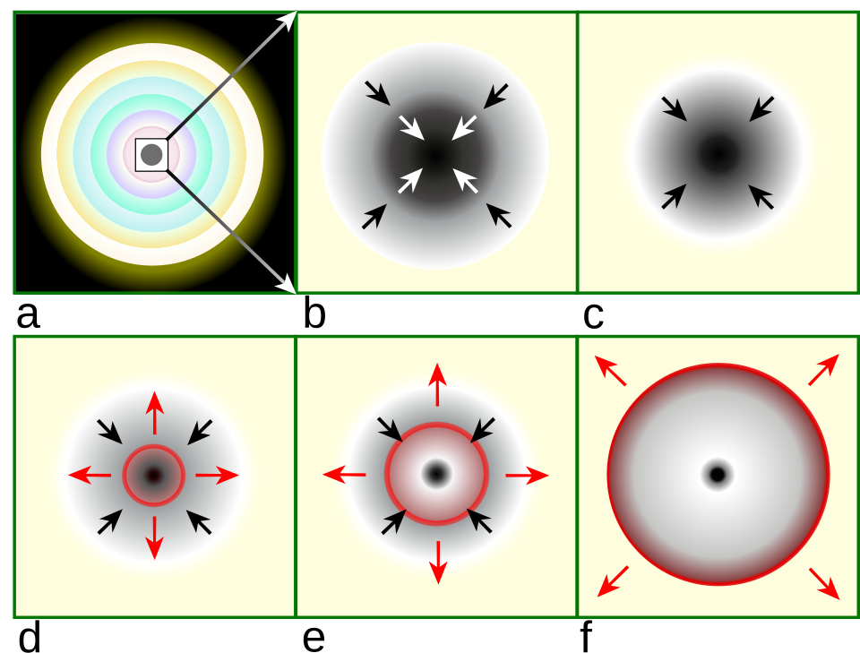 Simplified core collapse scenario: (a) A massive, evolved star has onion-layered shells of elements undergoing fusion. An inert iron core is formed from the fusion of Silicon in the inner-most shell. (b) This iron core reaches Chandrasekhar-mass and starts to collapse, with the outer core (black arr