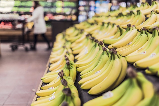 Flinders University Study Finds Emergency Food Models Risk Long-Term Dependency