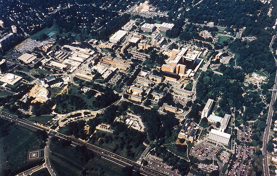 NIH Faces Leadership Vacuum as Key Positions Remain Unfilled