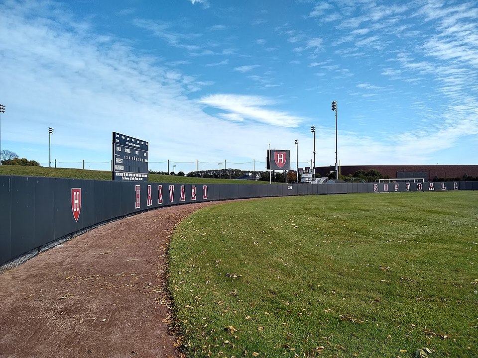 The Harvard Crimson softball outfield.