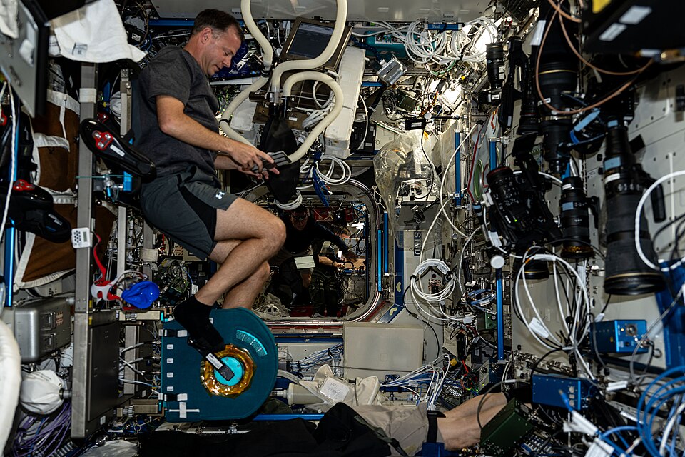iss072e034702 (Oct. 10, 2024) --- NASA astronaut and Expedition 72 Flight Engineer Nick Hague pedals on the Cycle Ergometer with Vibration Isolation and Stabilization (CEVIS), an exercise cycle located aboard the International Space Station's Destiny laboratory module. CEVIS provides aerobic and car