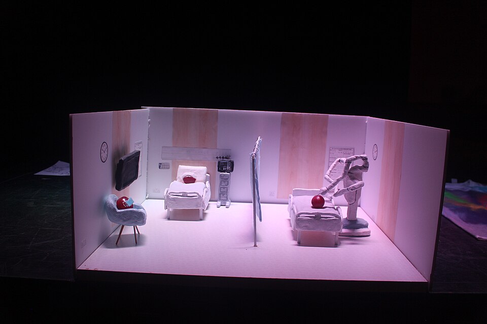 Model of the grape surgery done by DaVinci Robot 2004
