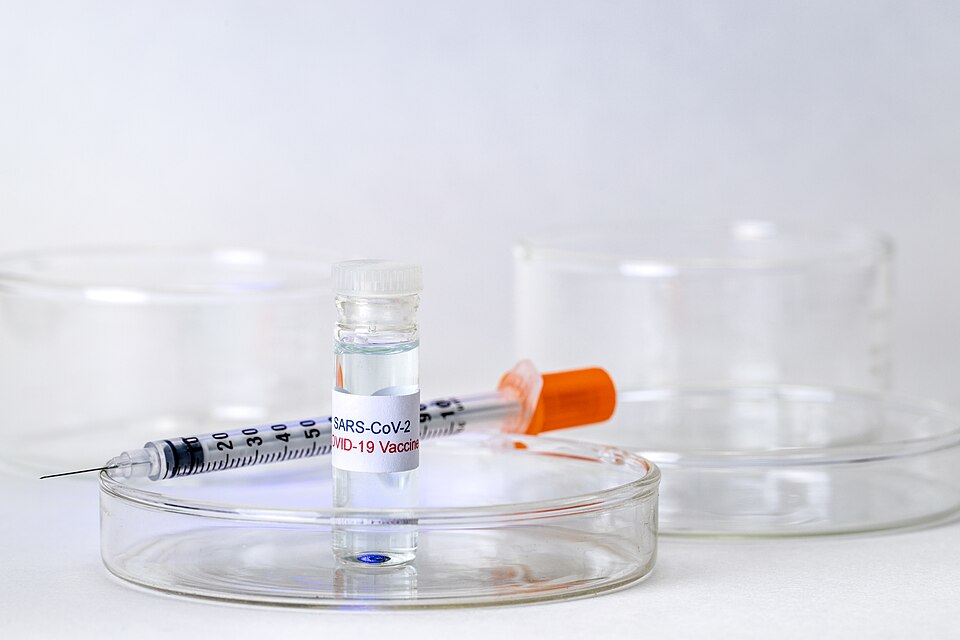States Push Back on Anti-Vaccine Bills as Public Health Groups Challenge MAHA Movement