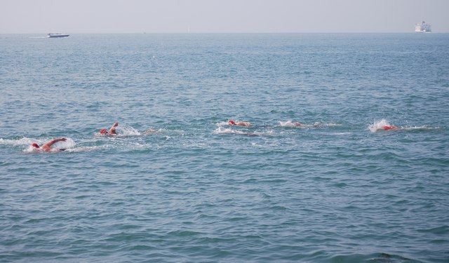 Open water swimmers
