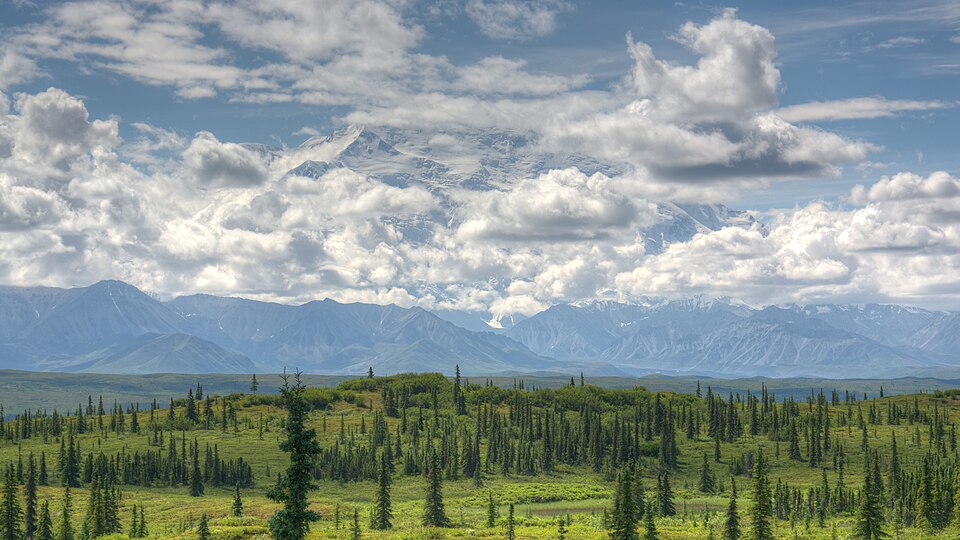 Denali / Mount McKinley, Denali National Park