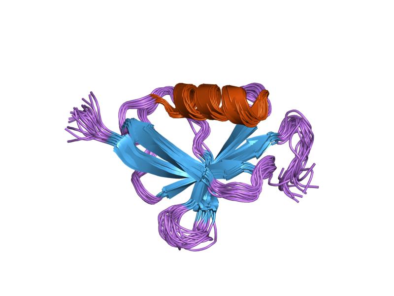 Cartoon representation of the molecular structure of protein registered with 1t0y code.