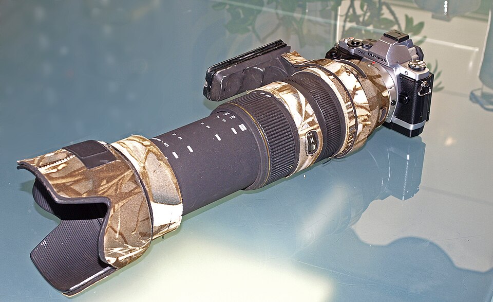 Sigma 60-600mm Sport Lens Delivers Sharp Wildlife Images but Weighs Nearly Six Pounds
