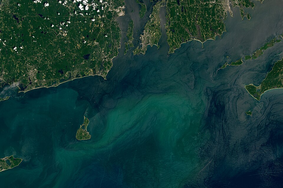 Today’s story is the answer to the July 2024 puzzler.Roughly 20,000 years ago, the Laurentide Ice Sheet smothered what is now southern New England beneath a thick layer of ice. The leading edge of this hulking mass plowed into the landscape as it advanced, depositing piles of debris called terminal