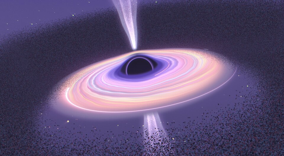 Gravity Distorts Quantum Circuit Readings Near Black Holes But Not Physics
