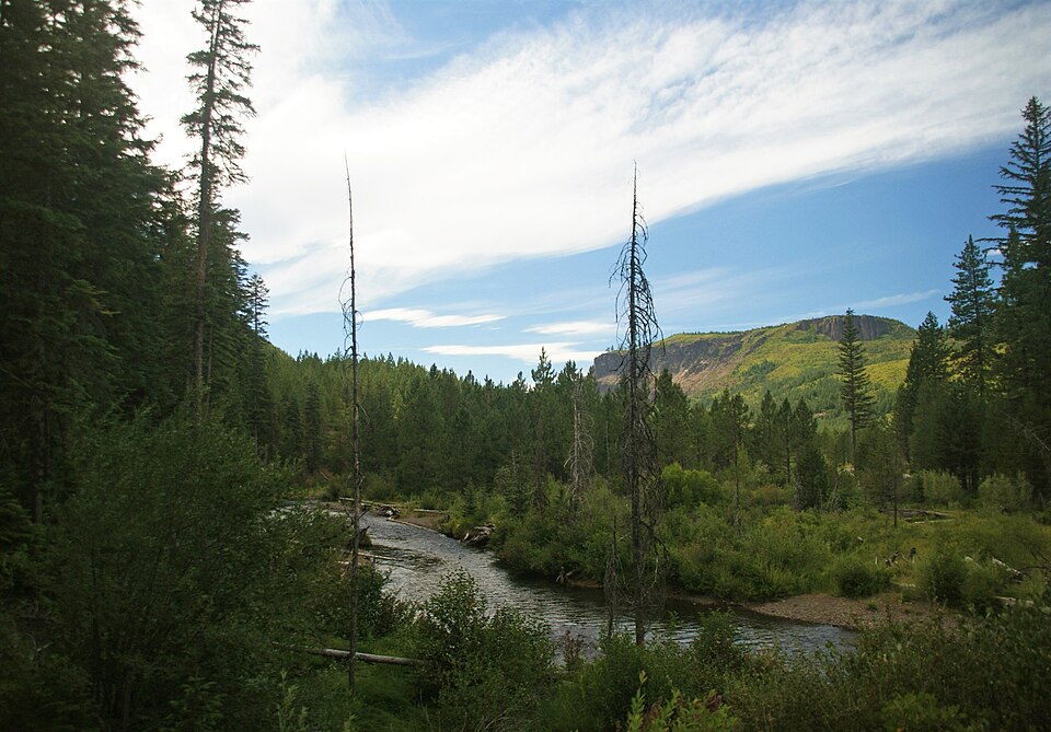 The Deschutes Collaborative Forest Project in the Deschutes National Forest, Oregon. (Forest Service photo by Deschutes National Forest)