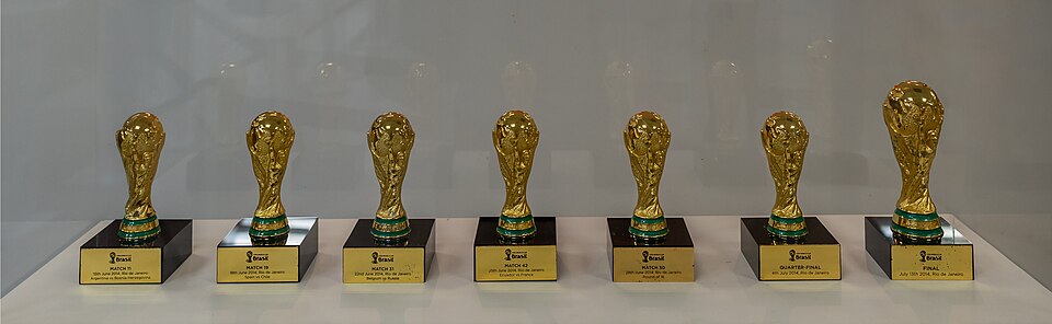 World Cup Health Officials Prepare for Heat Illness and Disease Risks