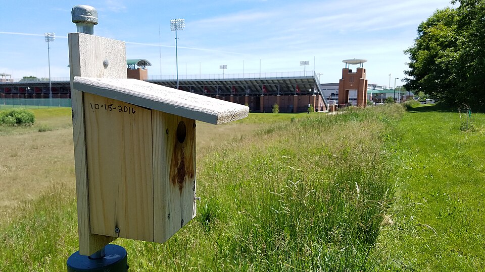 OHSAA State Track Meet Opens Division I and II Competition Saturday at Jesse Owens Stadium