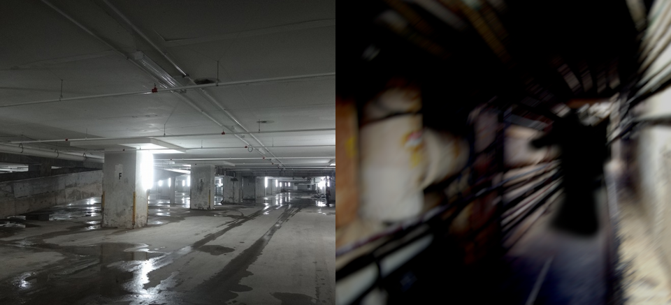 Two Levels that are in common Backrooms Wikis such as The Backrooms Wikidot &amp; Fandom.