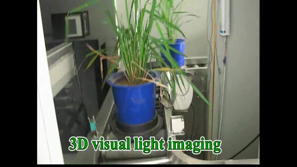 Chinese Scientists Build Crop Editing Platform That Stacks Ten Gene Traits at Once