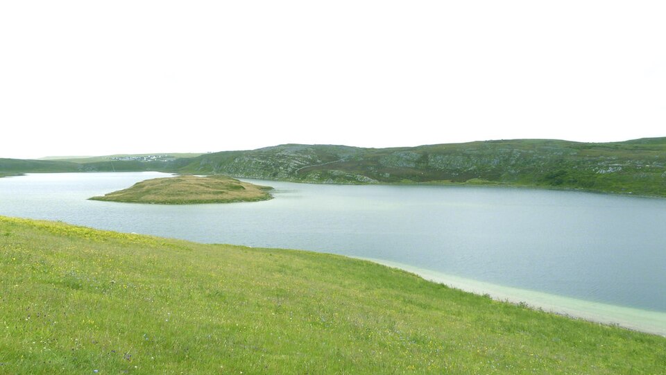 Limestone grazing, Durness
