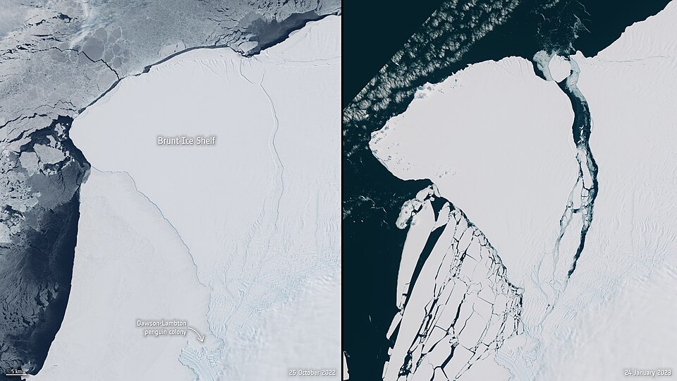These images from Copernicus Sentinel-2 show the before and after of the massive slab of ice that broke away from the Brunt Ice Shelf. The image on the left shows cracks and chasms of the ice shelf on 25 October 2022, while the image on the right shows the ice berg breaking away from the ice shelf o