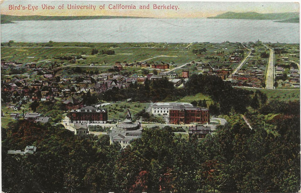 Postcard of a Bird's-Eye View of University of California Berkeley. Published by Newman Post Card Company, ca. 1908.