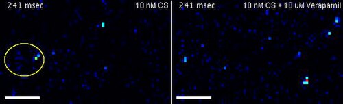 Social Media Spermmaxxing Trend Pushes Unverified Male Fertility Fixes