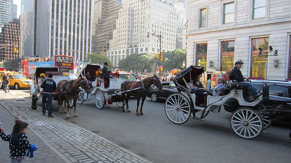 Central Park, New York, NY, USA