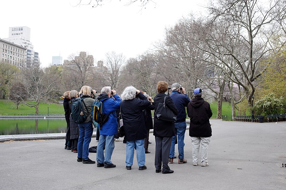Bird Watching Offers Measurable Physical and Mental Health Benefits, Cleveland Clinic Reports