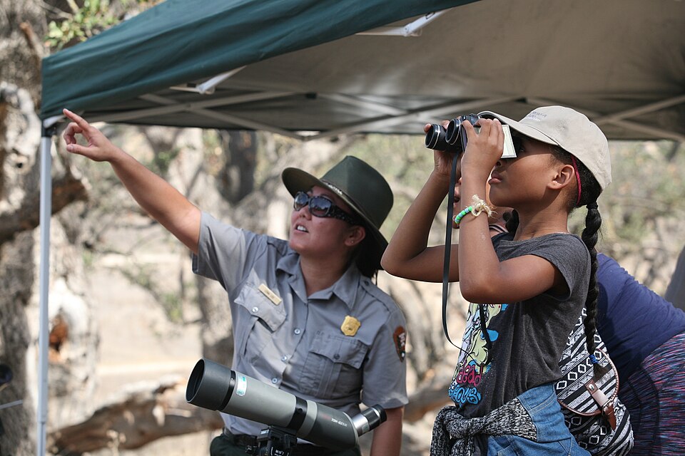A ranger pointing to something and a girl with binoculars looking.
Bird watching with rangers and visitors!