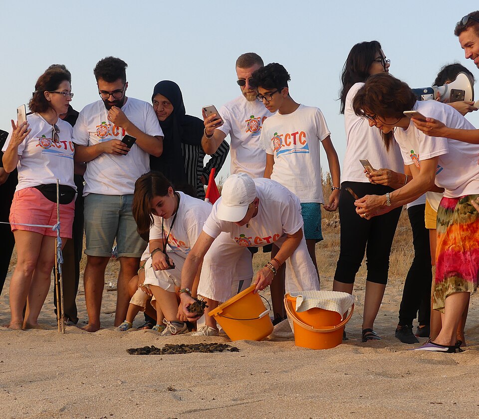 Lebanese Sea Turtle Conservationist Mona Khalil Dies After Israeli Airstrike